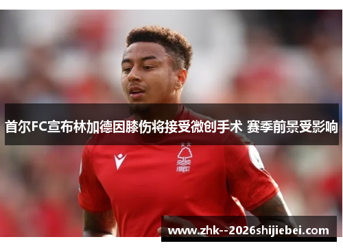 首尔FC宣布林加德因膝伤将接受微创手术 赛季前景受影响